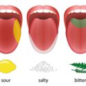 Taste Categories